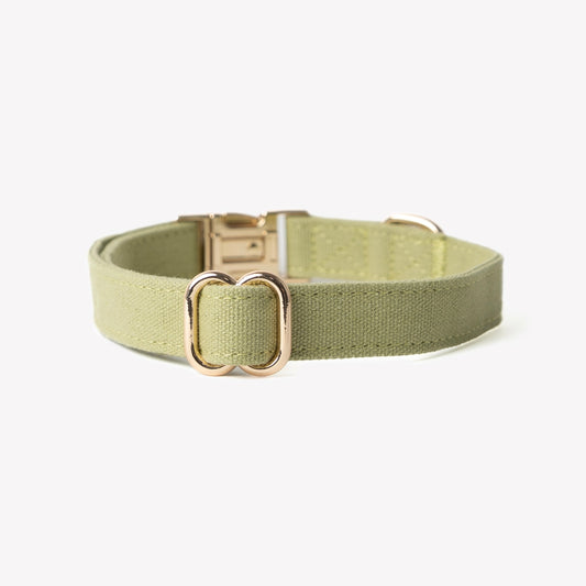 Furlou Green Canvas Dog Collar Choice of Size