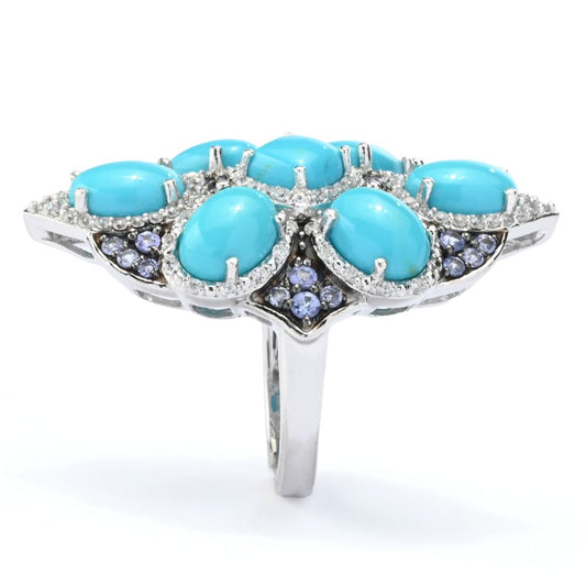Gem Treasures Sleeping Beauty Turquoise & Tanzanite Shield Ring