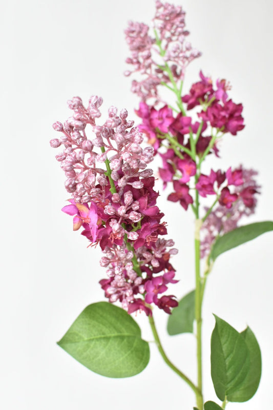 House of JSD 34.5" Faux Vibrant Pink & Purple Lilac Stem
