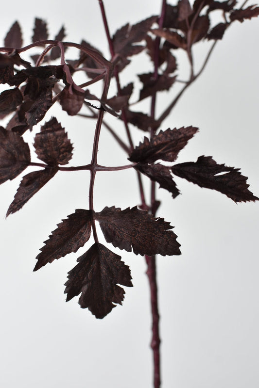 31" Faux Cimicifunga Ramosa Stem: Plum