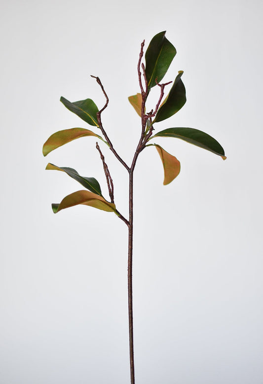 26" magnolia leaf branch