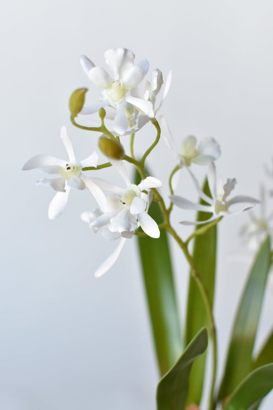 House of JSD 16" Faux Mini Orchid Stem with Leaves & Roots