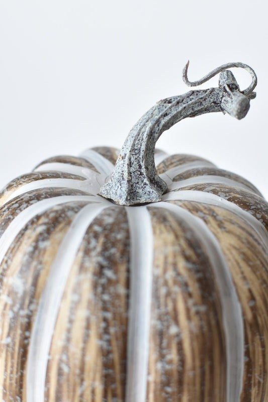 7"Hx5.5"W Faux Pumpkin Beige White - Tall