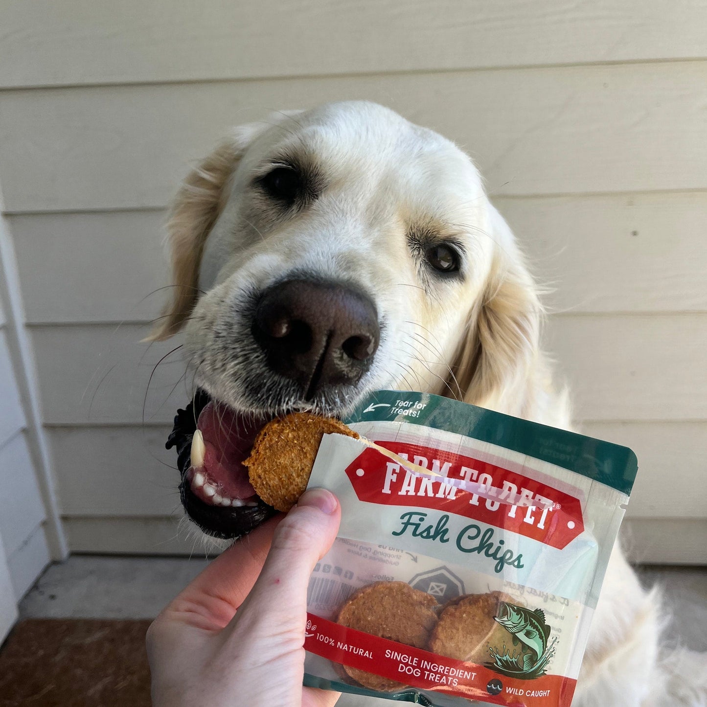Farm To Pet Single-Ingredient Dog Treats Snack Pack Sampler