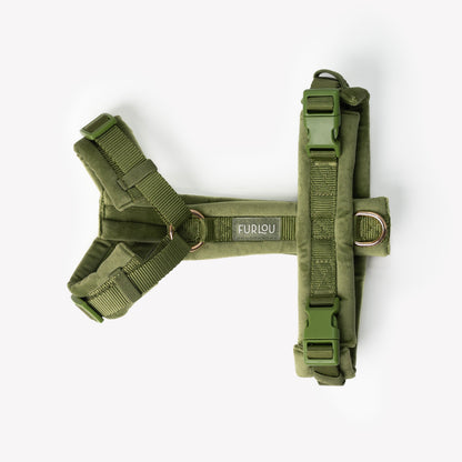 Furlou Green Velvet Dog Harness Choice of Size