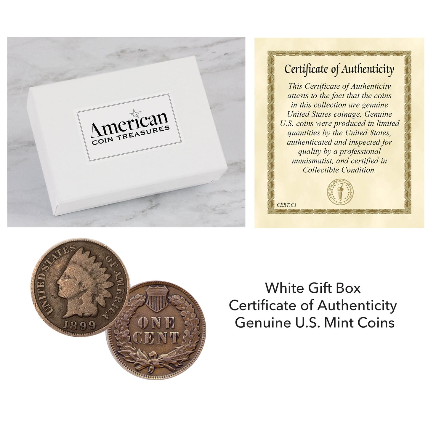 100 Year Old Indian Head Penny Feather Silvertone Coin Earrings
