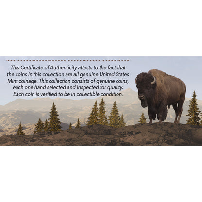 1913-1938 Legend of the Buffalo Nickel Collection