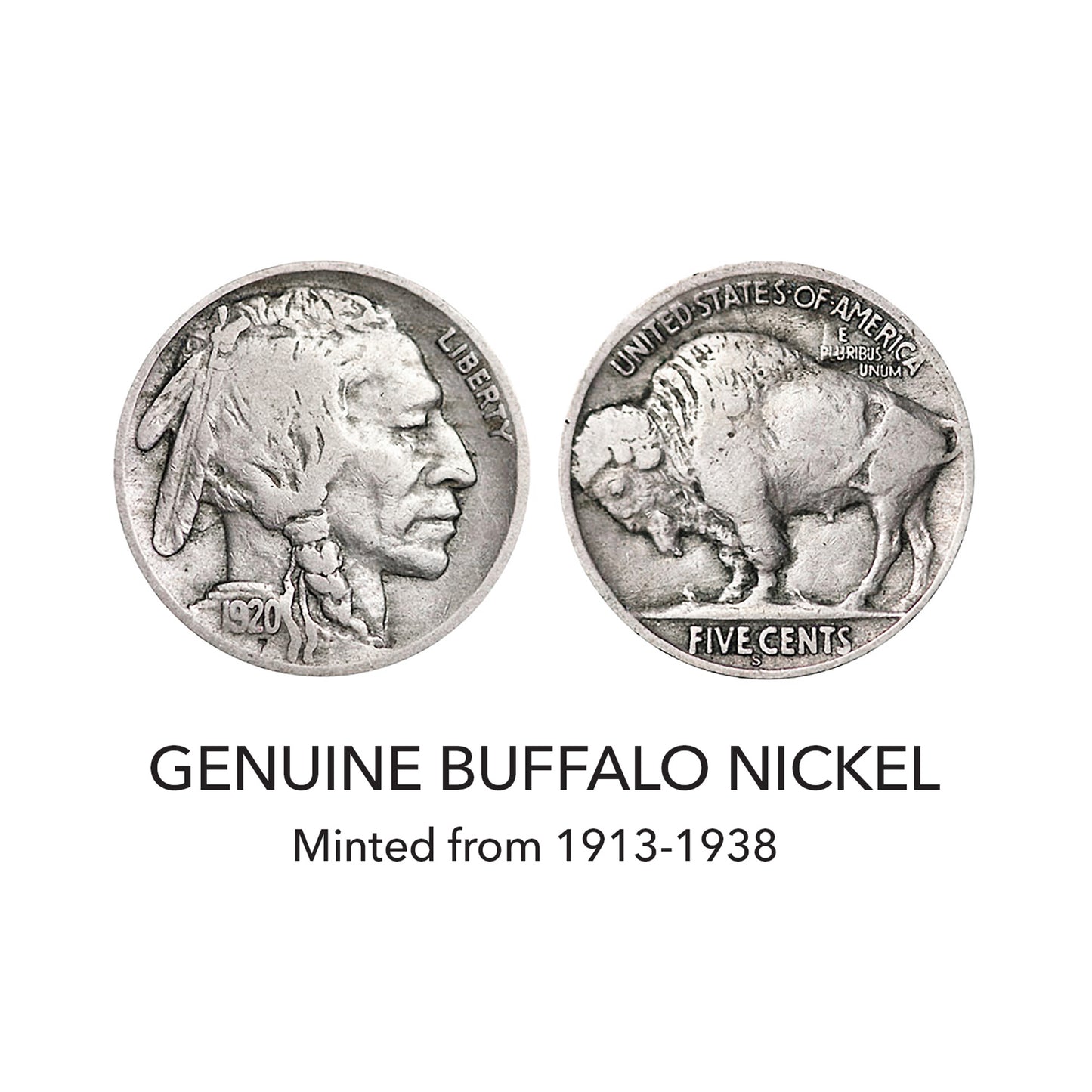 Complete 1920's Buffalo Nickel Collection with Display Portfolio