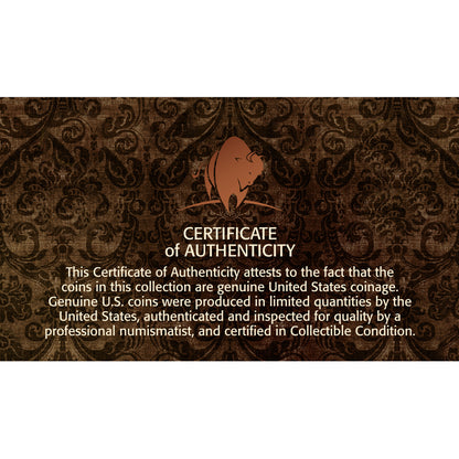 Complete 1920's Buffalo Nickel Collection with Display Portfolio