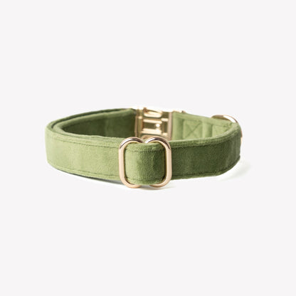 Furlou Green Velvet Dog Collar Choice of Size
