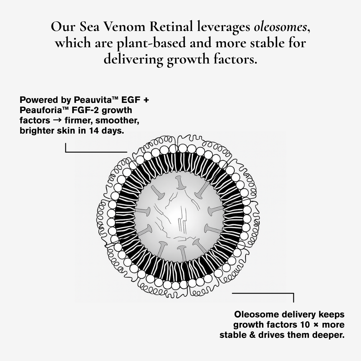 Intoxicated Cosmetics Anti-Aging Sea Venom Retinal