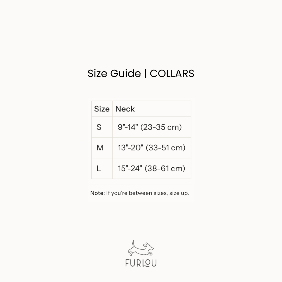 Furlou Black Canvas Dog Collar Choice of Size