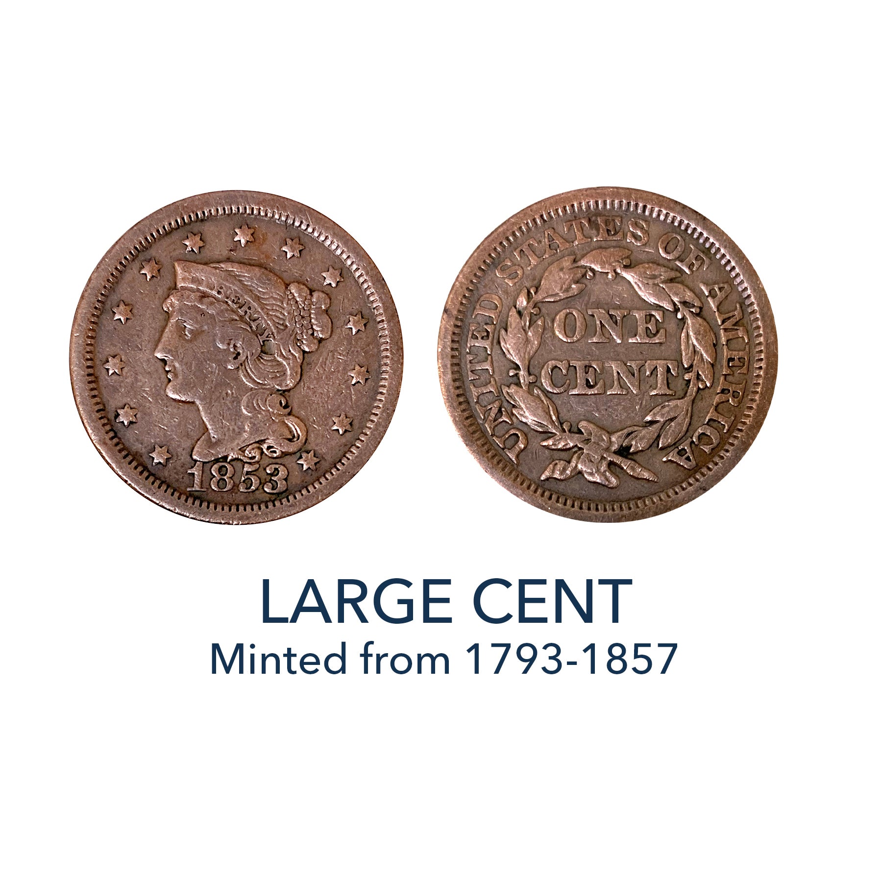 Collector's Favorite 1793-1857 Lady Liberty Large Cent – ShopHQ