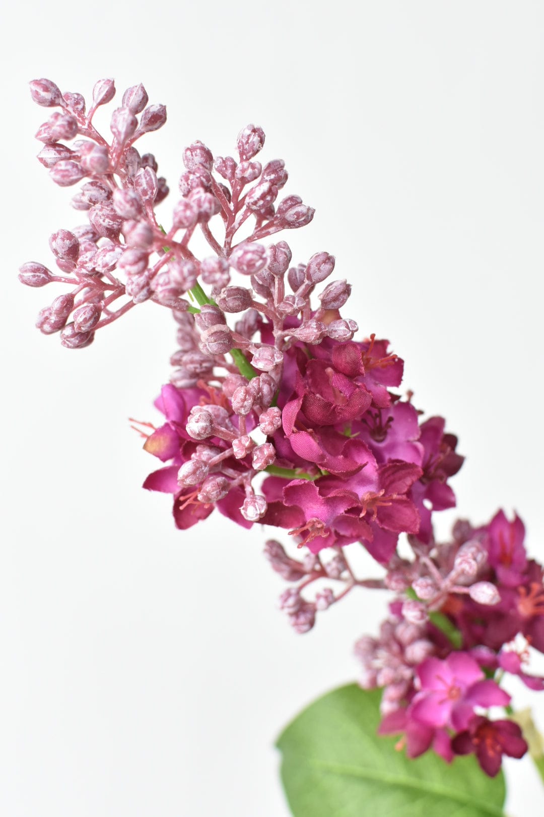 House of JSD 34.5" Faux Vibrant Pink & Purple Lilac Stem