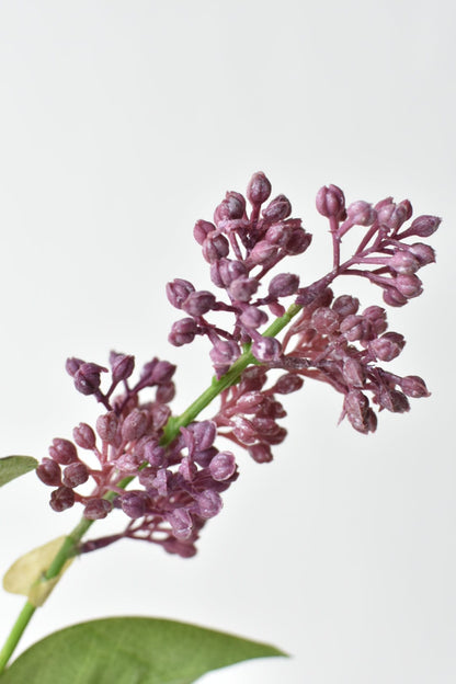 House of JSD 34.5" Faux Vibrant Pink & Purple Lilac Stem