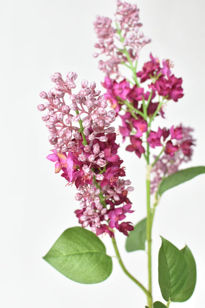 House of JSD 34.5" Faux Vibrant Pink & Purple Lilac Stem