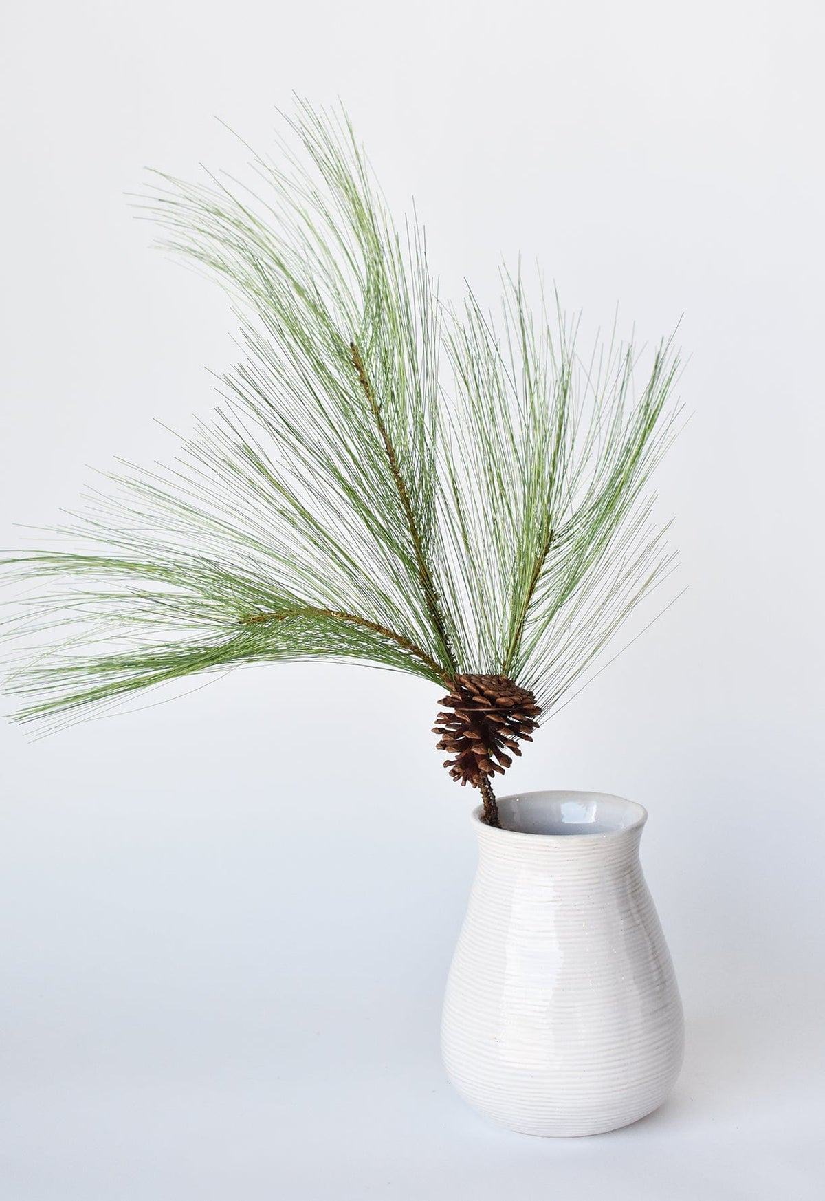 21” Long Needle Pine Spray