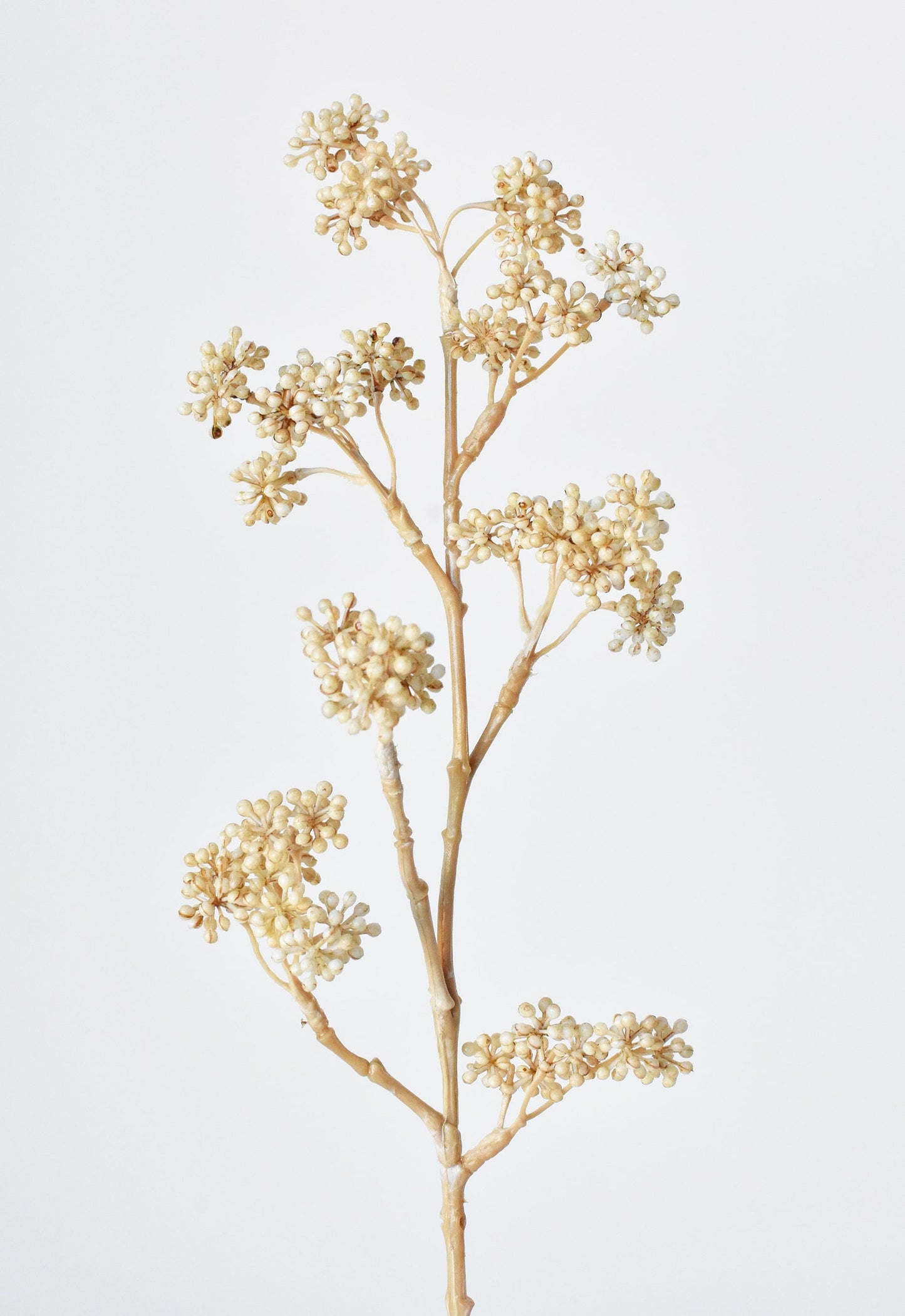 17" Faux Cream Sedum Spray Stem