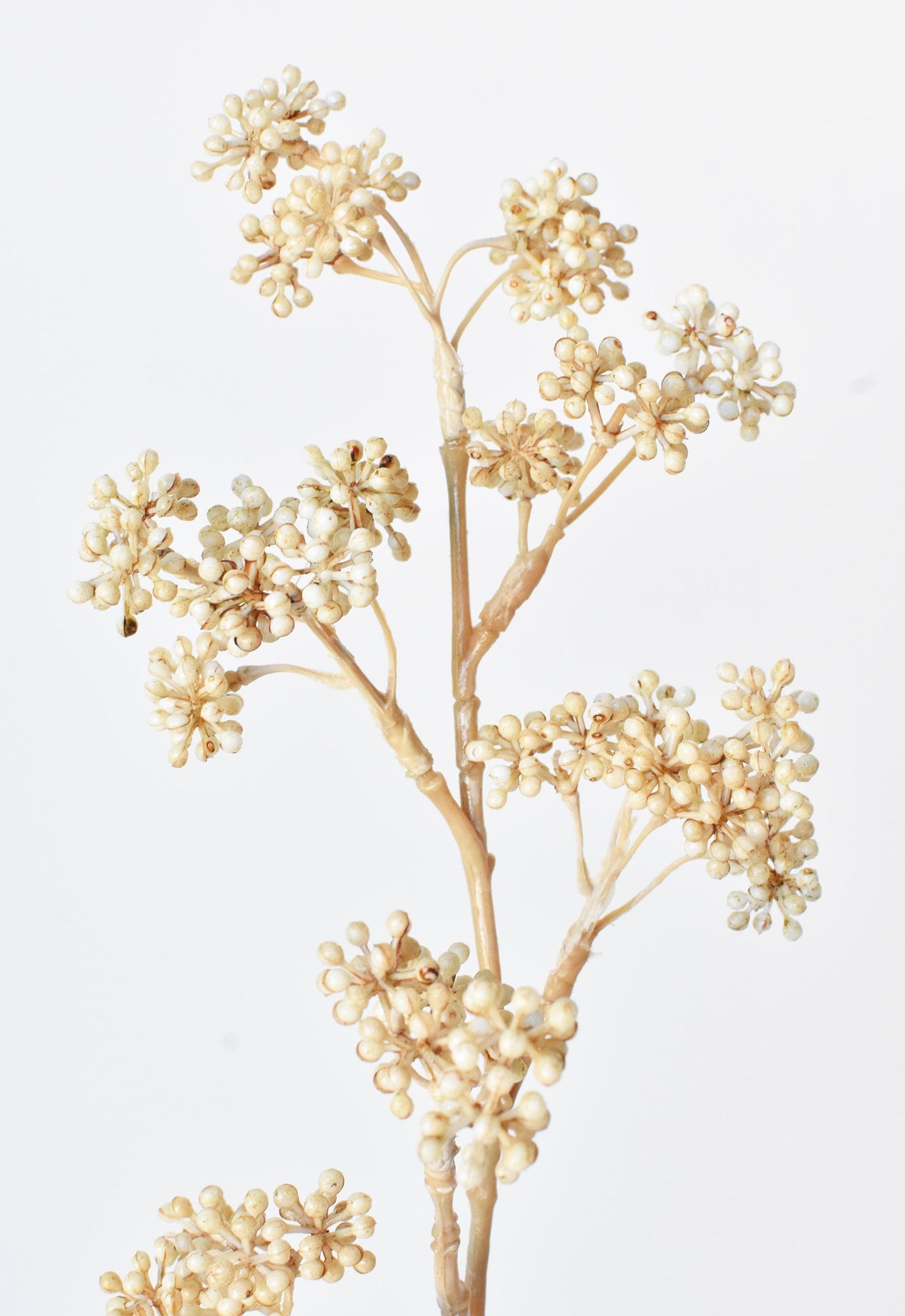 17" Faux Cream Sedum Spray Stem