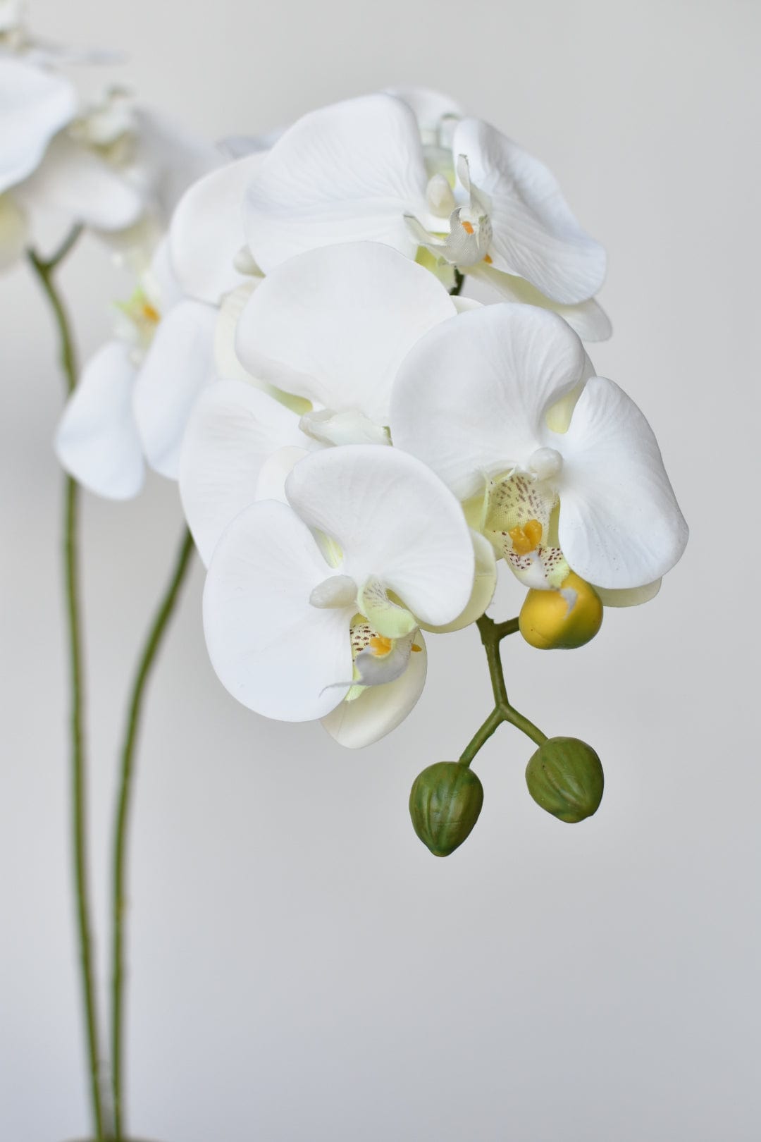 House of JSD 20" Faux Phalaenopsis Orchid in Blue & White Container