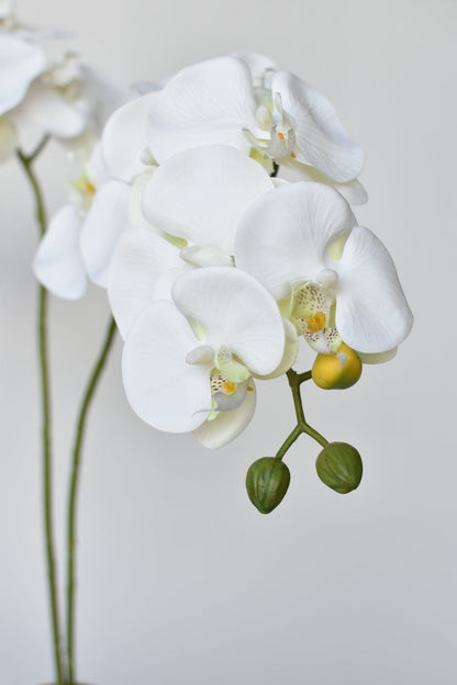 House of JSD 20" Faux Phalaenopsis Orchid in Blue & White Container