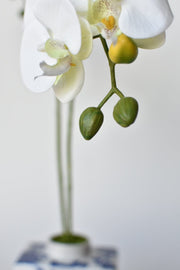 20" Faux Phalaenopsis Orchid in Blue & White Container