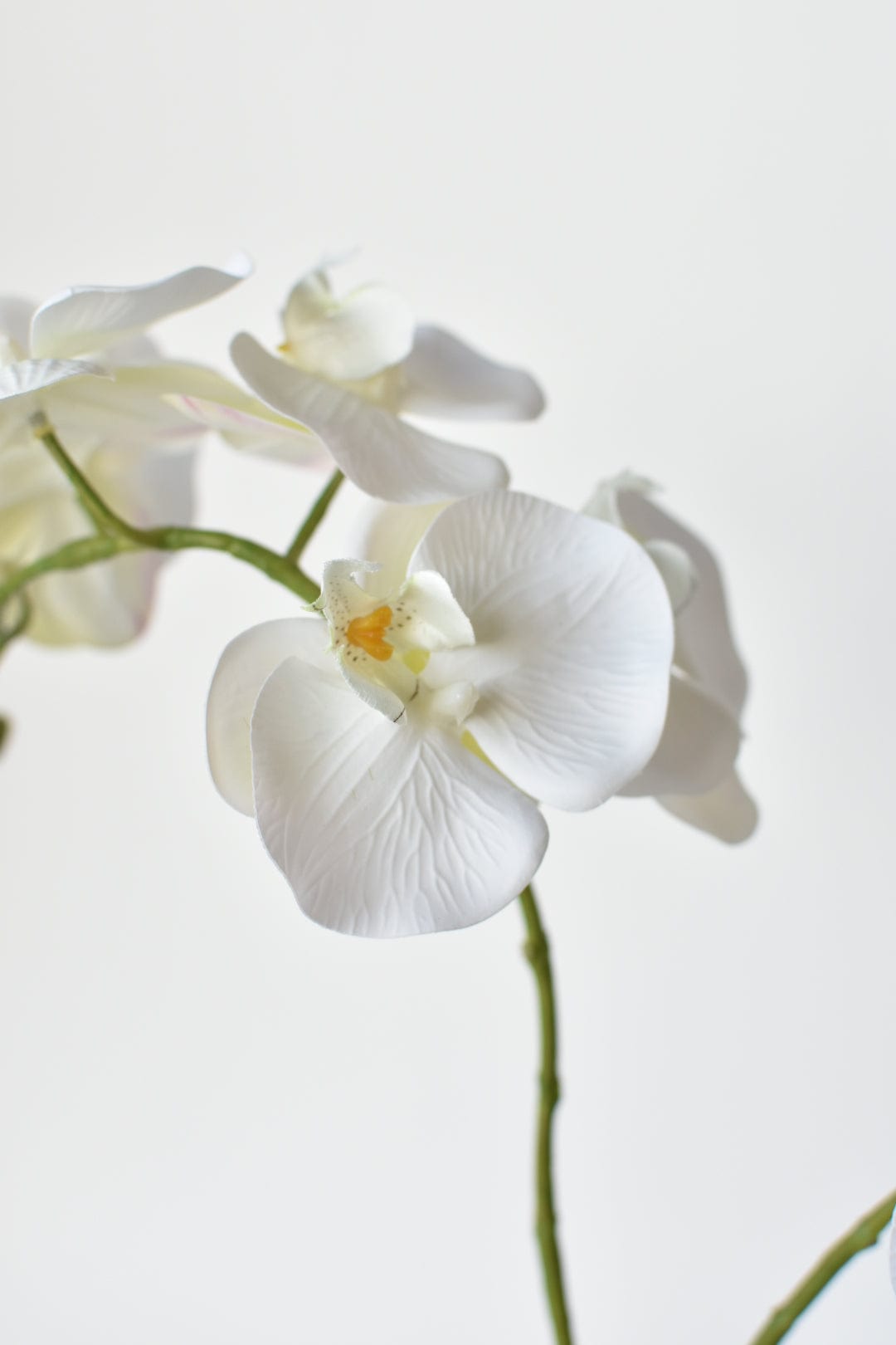 House of JSD 20" Faux Phalaenopsis Orchid in Blue & White Container