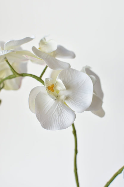 House of JSD 20" Faux Phalaenopsis Orchid in Blue & White Container