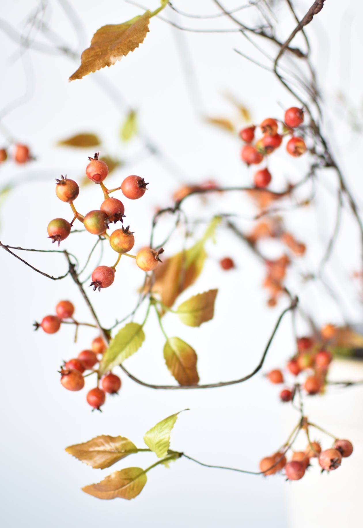 38" Faux Orange Berry Branch Stem