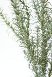 24" Faux Rosemary Bush