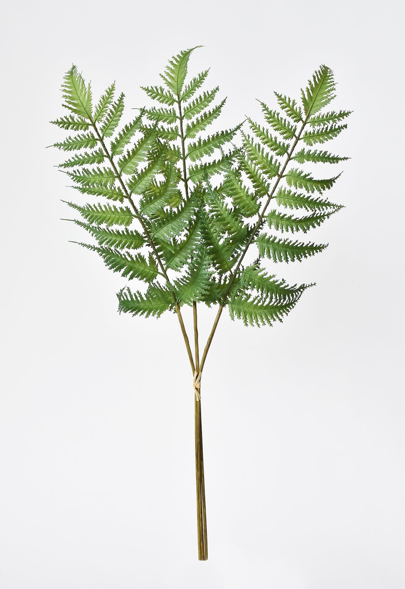 22" Faux Forest Fern Stem Bundle