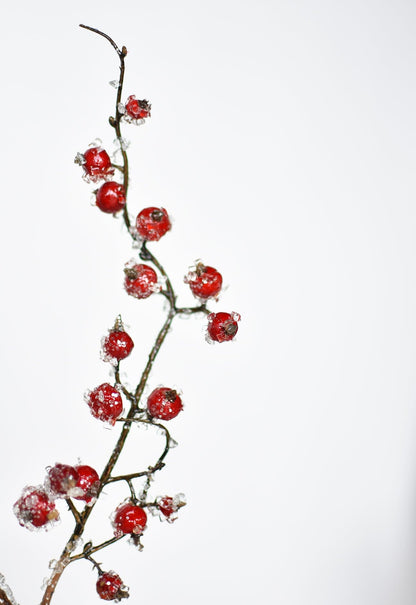 29" Faux Iced Red Berry Stem