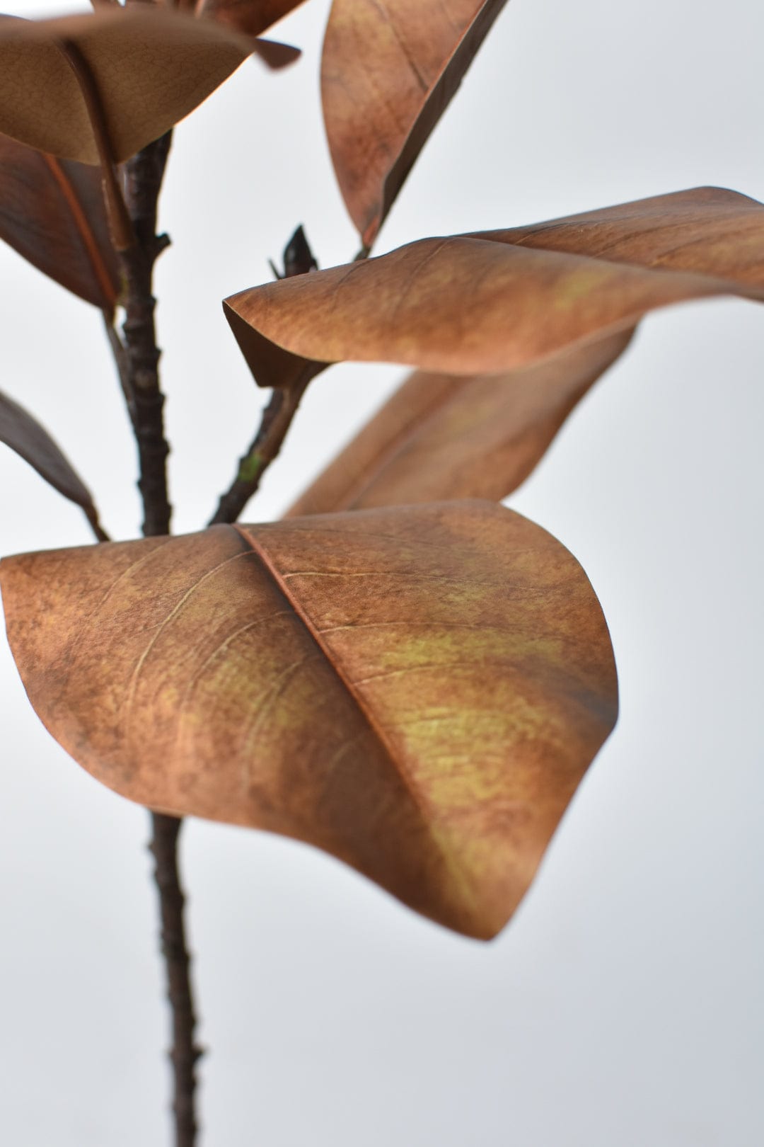 21" Faux Magnolia Leaf Stem : Tobacco
