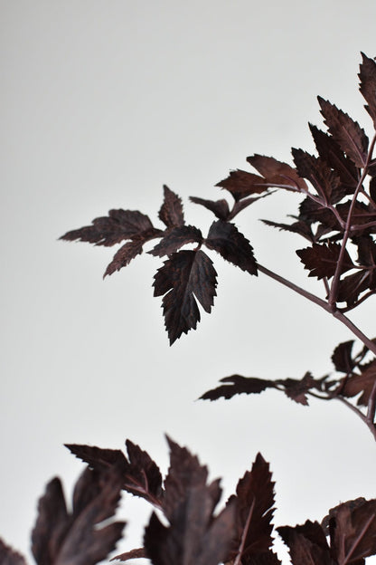 31" Faux Cimicifunga Ramosa Stem: Plum