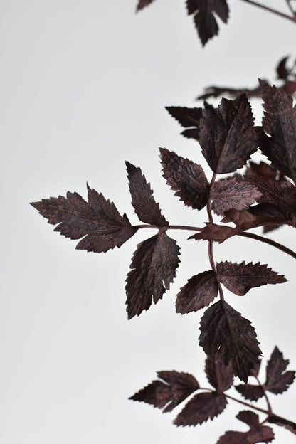 31" Faux Cimicifunga Ramosa Stem: Plum