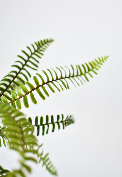 17" Faux Green Boston Fern Bush