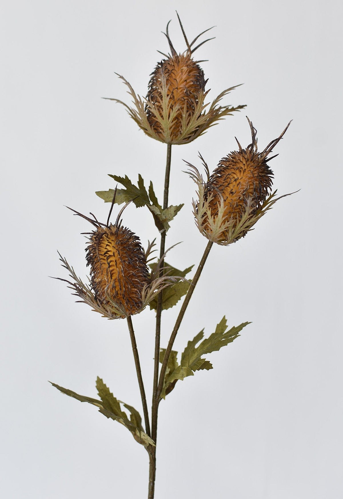 26" Faux Brown Thistle Stem