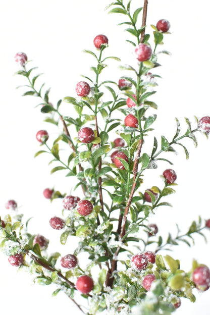 21" Faux Frosted Greenery with Red Berry Stem