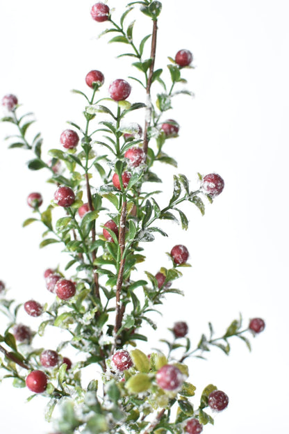 21" Faux Frosted Greenery with Red Berry Stem