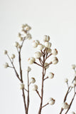 35" Faux Tallow Berry Branch Stem