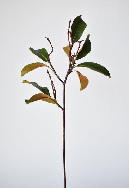 26" magnolia leaf branch