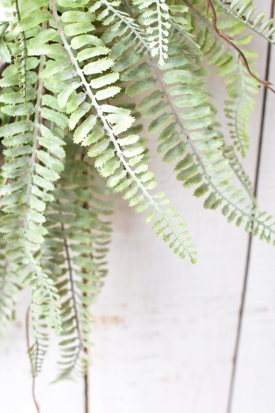 24" Faux Forest Fern Wreath