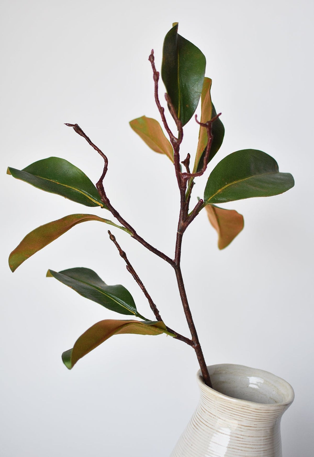 26" Faux Magnolia Leaf Branch