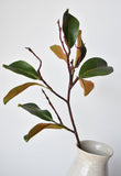 26" magnolia leaf branch