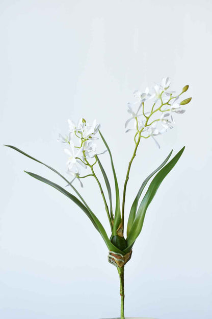 House of JSD 16" Faux Mini Orchid Stem with Leaves & Roots