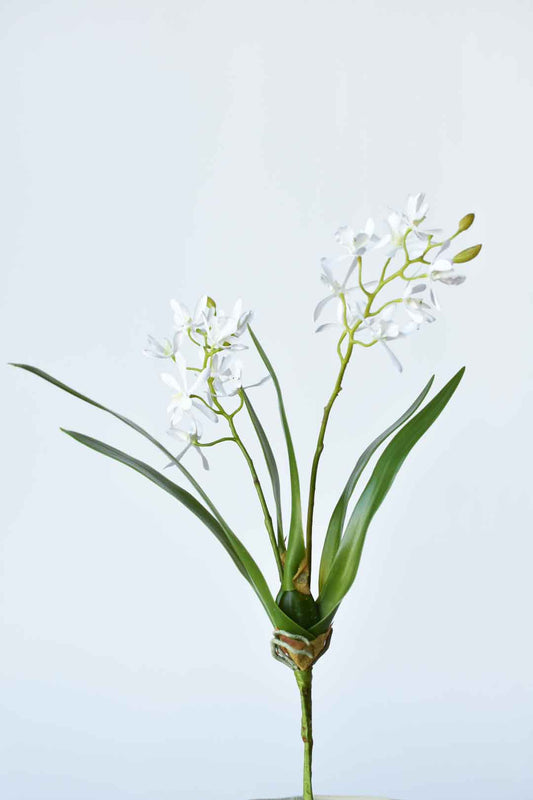 House of JSD 16" Faux Mini Orchid Stem with Leaves & Roots