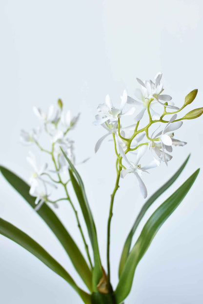 House of JSD 16" Faux Mini Orchid Stem with Leaves & Roots