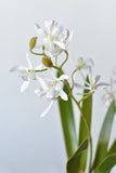 House of JSD 16" Faux Mini Orchid Stem with Leaves & Roots