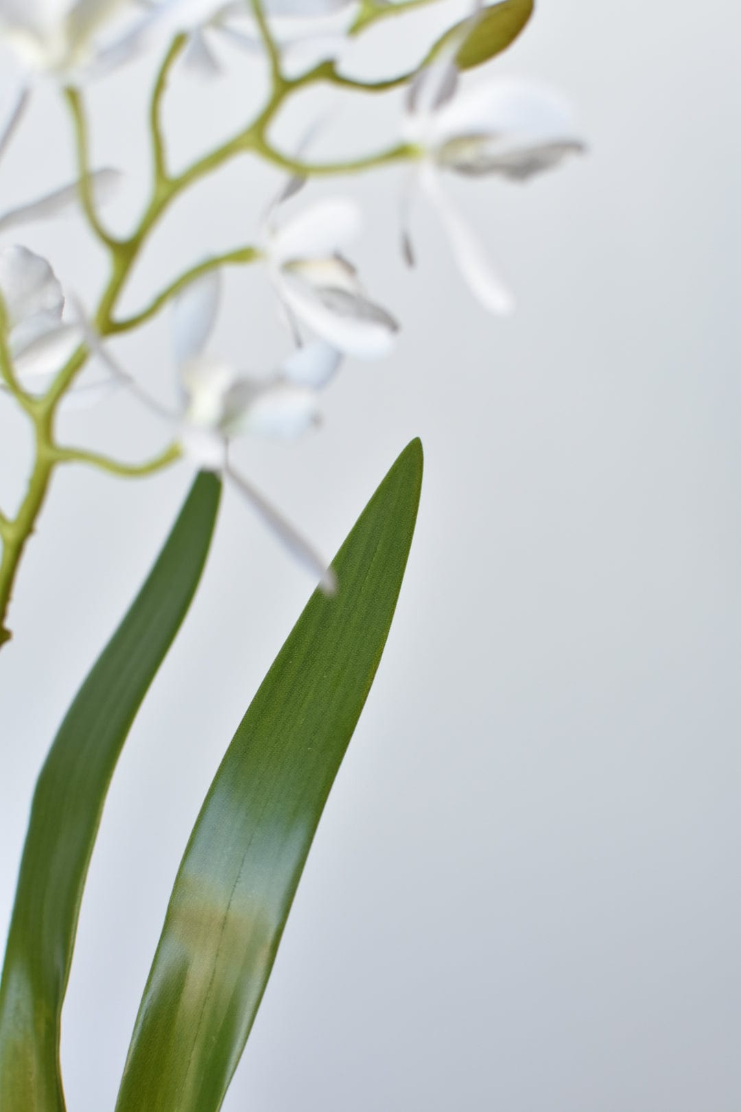 House of JSD 16" Faux Mini Orchid Stem with Leaves & Roots