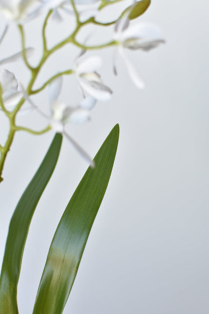House of JSD 16" Faux Mini Orchid Stem with Leaves & Roots